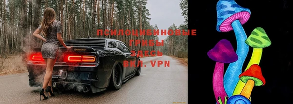 прущий лед Надым
